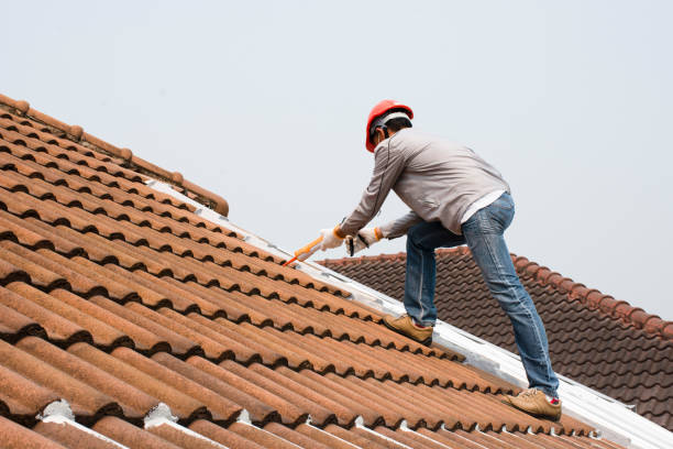 Roof Coating Services in Mount Rainier, MD